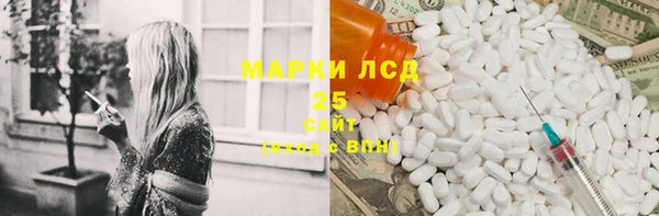 прущий лед Вяземский