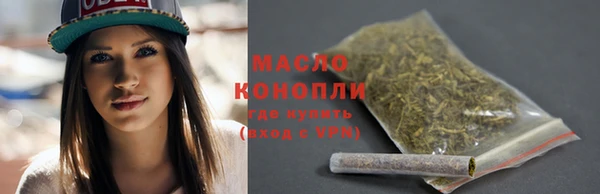 крисы Вязьма