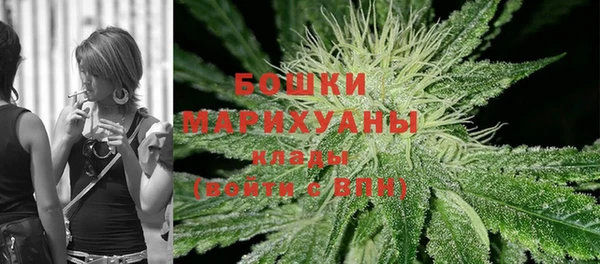 прущий лед Вяземский