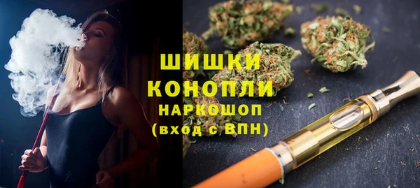 крисы Вязьма