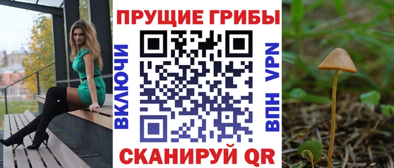 Купить  Дмитров  Галлюциногенные грибы мицелий 